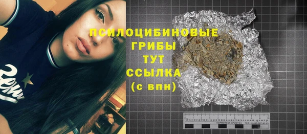 винт Ладушкин
