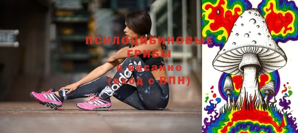 винт Ладушкин