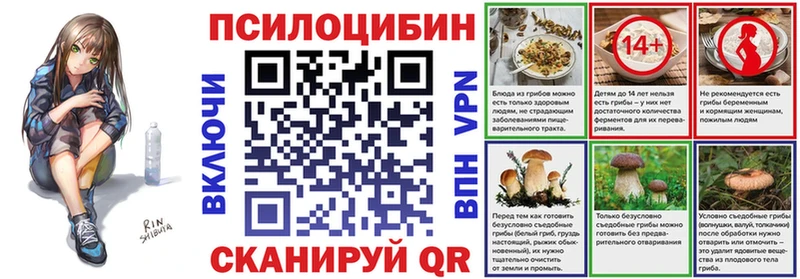 Купить  Пересвет  Псилоцибиновые грибы прущие грибы 